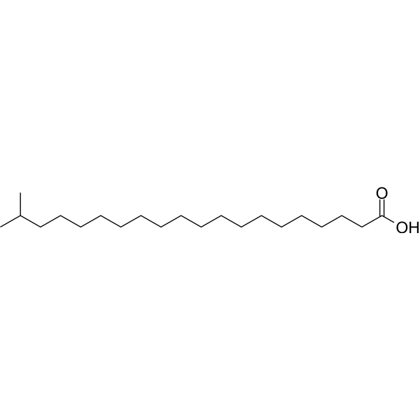 19-Methyleicosanoic acid 59708-73-5
